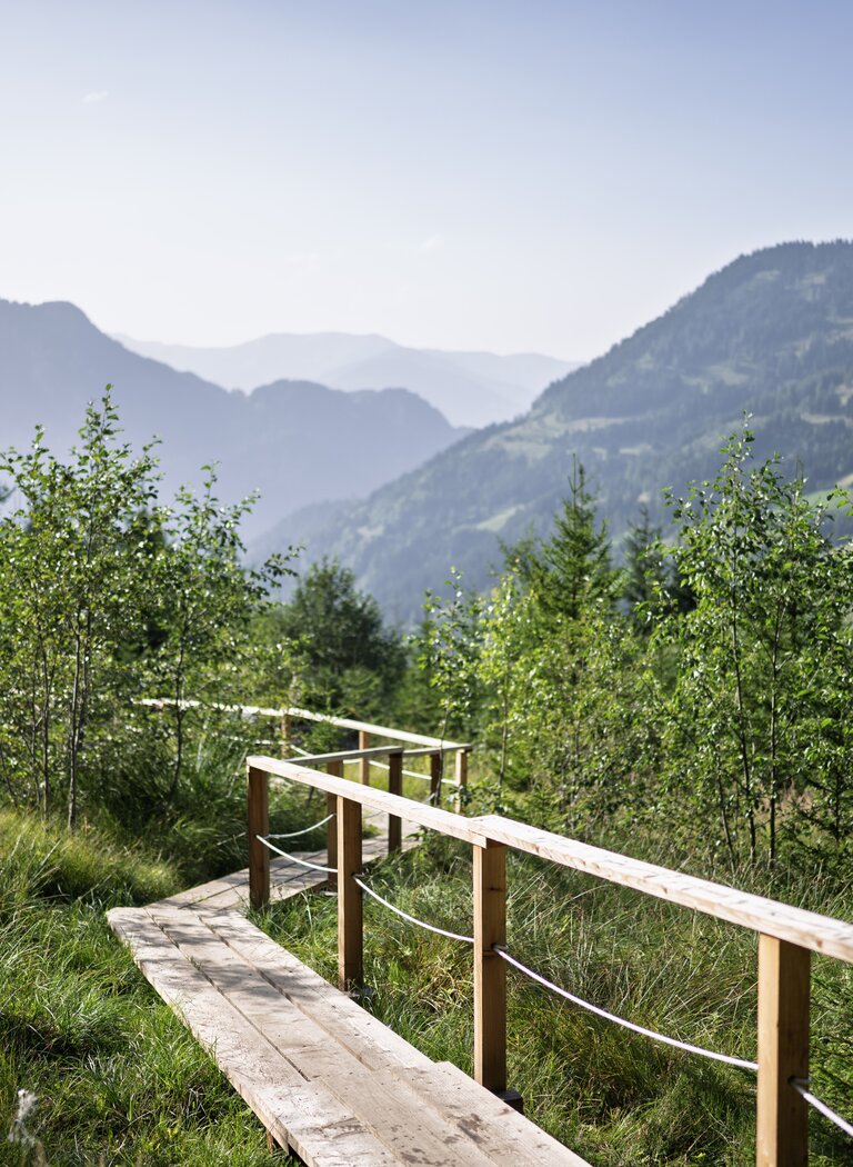 Wooden boardwalk winds through a green mountain landscape with young trees and forested slopes beneath a clear sky. | © Dorfgasteiner Bergbahnen AG