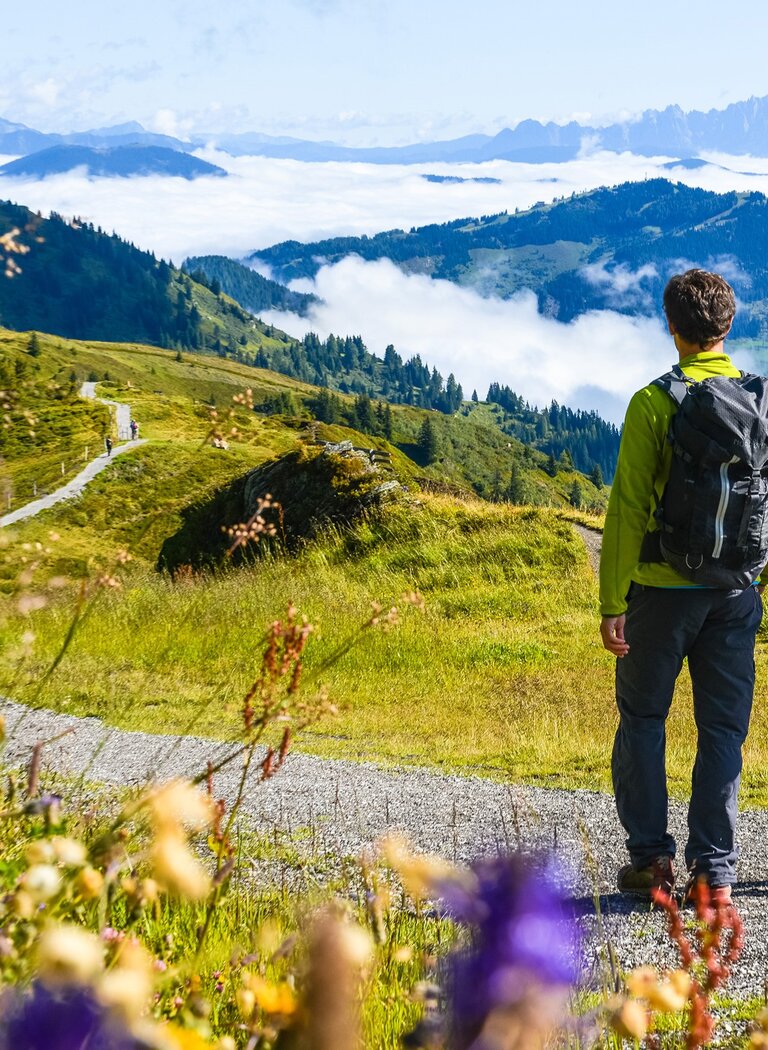 Two hikers with backpacks admire sunny alpine scenery with wildflowers and fog in the valleys. | © Dorfgasteiner Bergbahnen AG