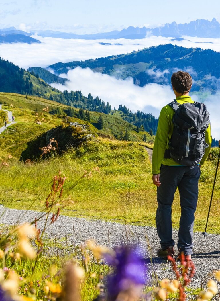 Two hikers with backpacks admire sunny alpine scenery with wildflowers and fog in the valleys. | © Dorfgasteiner Bergbahnen AG