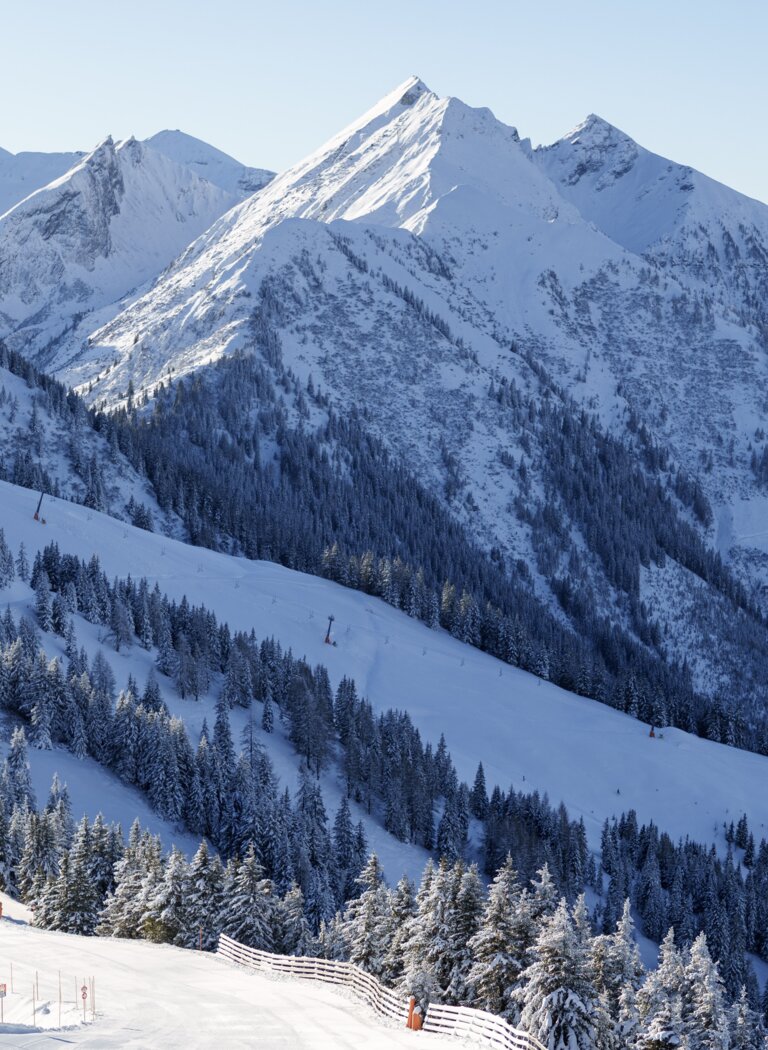 Several skiers descend a wide slope through a snowy mountain landscape with high peaks. | © Dorfgasteiner Bergbahnen AG