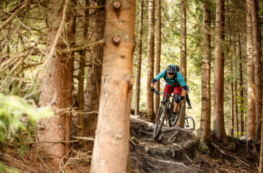 Rider with helmet and pads on technical forest trail with roots in Großarltal | © Grossarler Bergbahnen GmbH & Co KG